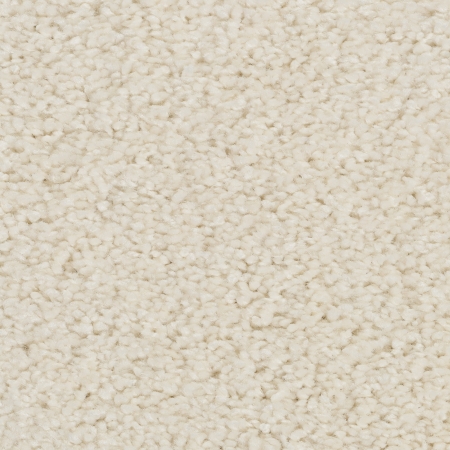 Frisé - Manduro - 016